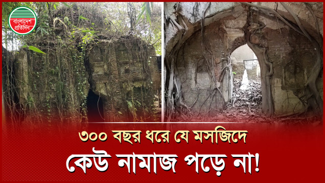৩০০ বছর ধরে কালের সাক্ষী হয়ে দাঁড়িয়ে আছে নটি বিবির মসজিদ