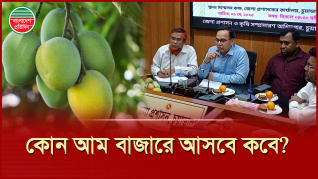 ১৫ মে আটি, গুঁটি ও বোম্বাই শুরু হবে চুয়াডাঙ্গায় আমের মৌসুম