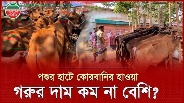 যে হাটে কোরবানির গরু মিলে ৩০ হাজার টাকায়