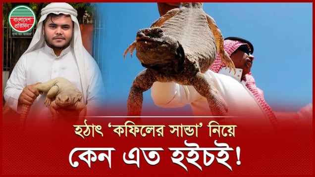 মরুভূমির নিরীহ প্রাণী যেভাবে হয়ে উঠলো ট্রেন্ডের রাজা!