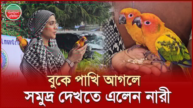 খাঁচায় বন্দি করে নয় বুকে আগলে পাখিকে ঢাকা থেকে কক্সবাজার নিলেন
