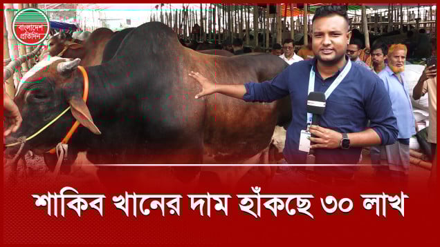 গাবতলী কোরবানি পশু হাটে শাকিব খানই কি সবচেয়ে বড়?