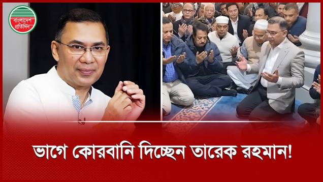 লন্ডনে কোরবানির গরু কিনেছেন তারেক রহমান, দাম কতো?