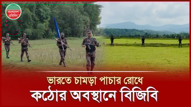 ভারতে চামড়া পাচার রোধে সীমান্তে কঠোর অবস্থানে বিজিবি