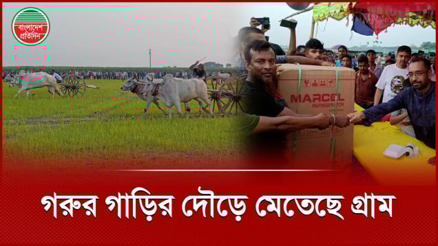 গ্রামীণ ঐতিহ্যের রঙিন উৎসব গরুর গাড়ির দৌড় প্রতিযোগিতা