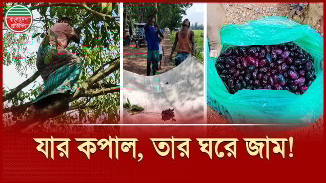 সবুজ আর ভালোবাসা রোপণ করে গেলেন মৌলভী আবদুর রশিদ