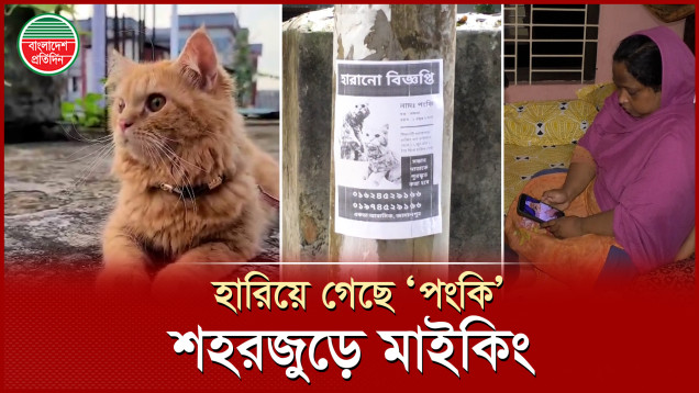 ‘পংকি’ কে হারিয়ে মায়ের আহাজারি, পোস্টার ছাপিয়ে শহরময় খোঁজ!