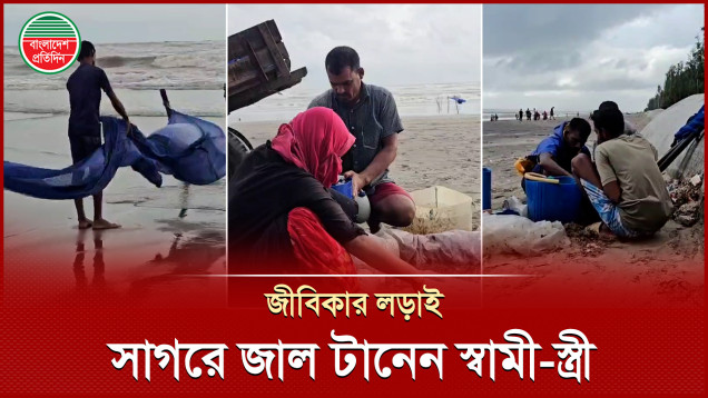 পেটের দায়ে স্বামীর সাথে সাগরে পোনা ধরতে মশারি জাল টানেন স্ত্রী