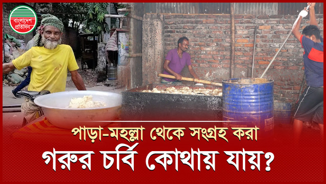পাড়া-মহল্লা থেকে গরুর চর্বি কিনে কী করেন হকাররা?