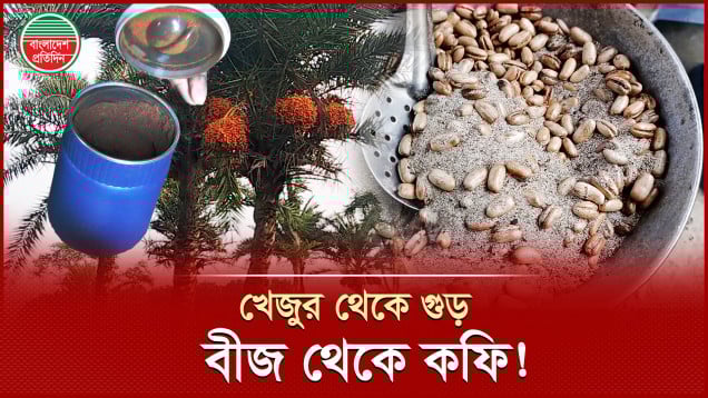 কৃষি প্রযুক্তিকে কাজে লাগিয়ে অসম্ভবকে সম্ভব করেছেন ঝিনাইদহের শাহিন