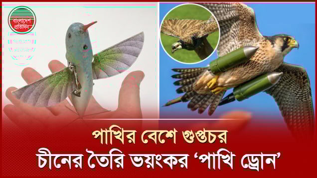 শত্রুদের জন্য চীনের ভয়ংকর ‘পাখি ড্রোন’