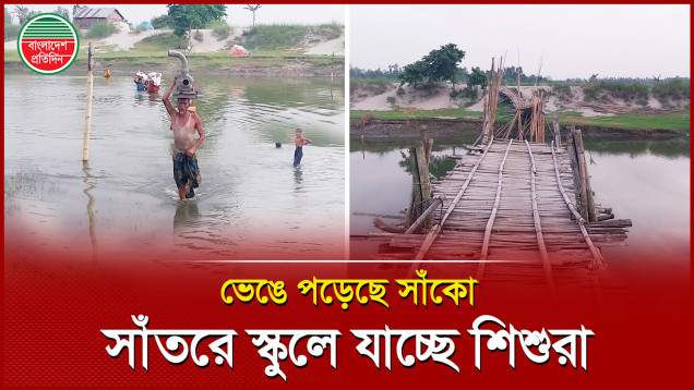 এক বুক পানি মাড়িয়ে স্কুলে যাচ্ছে শিশুরা, একটি সাঁকোর জন্য আর্তনাদ!