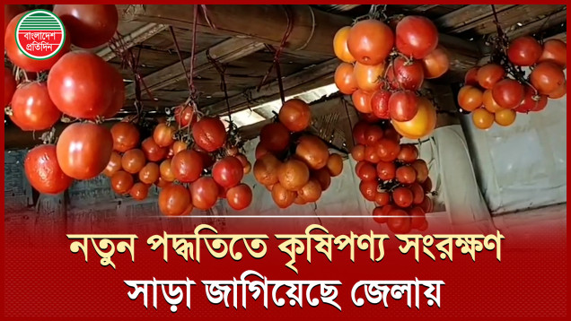 কৃষিপণ্য সংরক্ষণে কৃষকের নতুন কৌশল, অবাক এলাকাবাসী
