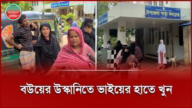সম্পত্তির লোভে দুই সহোদর ভাইয়ের হাতে ভাই খুন