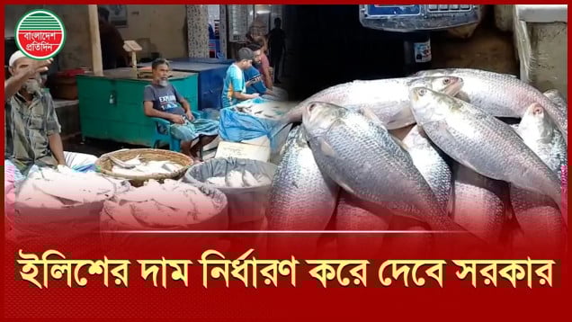 ইলিশের দাম নির্ধারণের প্রস্তাবে প্রধান উপদেষ্টার অনুমোদন