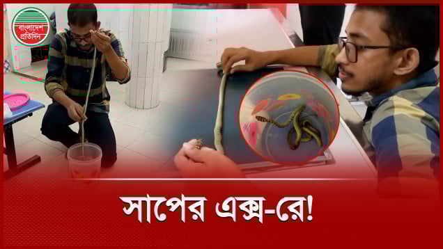 সাপের এক্স-রে করতে ক্লিনিকে ছুটে এলেন যুবক
