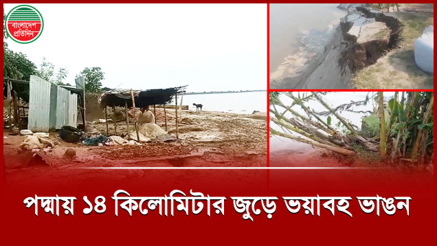 পদ্মার ভাঙনে হুমকির মুখে বিওপিসহ বহু স্থাপনা, আতঙ্কে নদীপাড়ের মানুষ