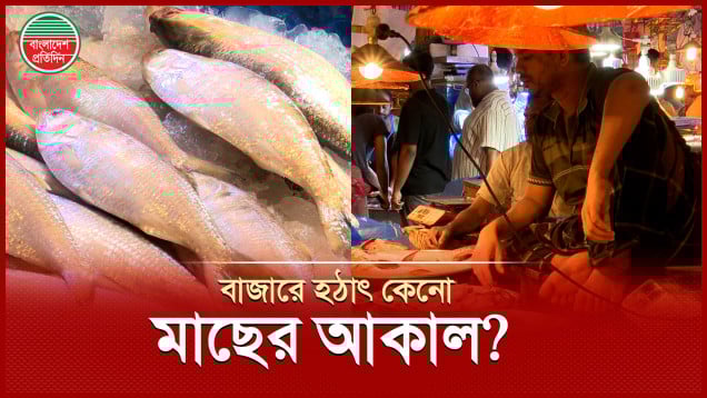 বাজারে মাছের আকাল, কিন্তু কেনো?