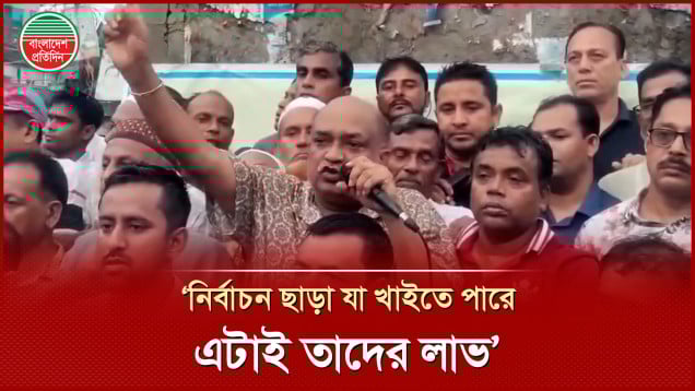 'কিছু কিছু ছোট ছোট মুরগির বাচ্চারা নির্বাচন চায় না, কারণ তাদের বেইল নাই'