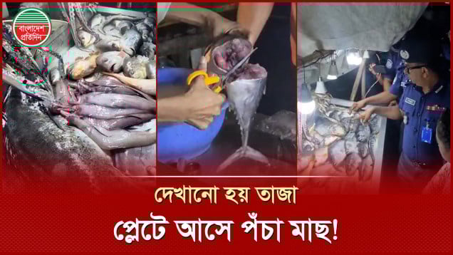 সামুদ্রিক মাছের নামে কী খাওয়ানো হচ্ছে পর্যটকদের?