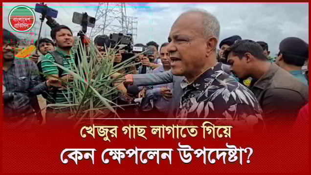 খেজুর গাছ লাগাতে গিয়ে হঠাৎ কেন ক্ষেপে গেলেন স্বরাষ্ট্র উপদেষ্টা