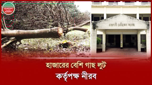 অনুমতি ছাড়াই শত শত গাছ কাটছে ঠিকাদাররা!