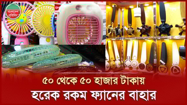 এই গরমে হরেক রকম ফ্যান, কোনটার দাম কতো?