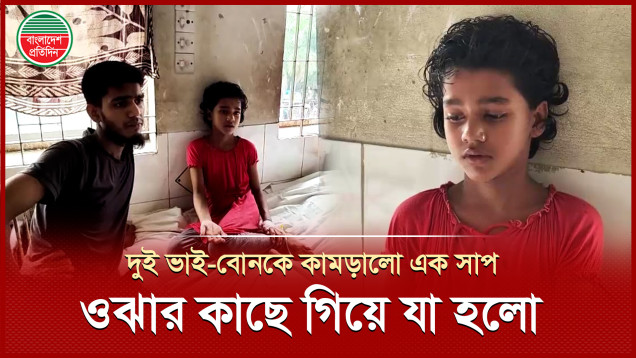 দুই ভাই বোনকে কামড়ালো এক সাপ, হাসপাতালে ওষুধ না পেয়ে ওঝার কাছে গিয়ে যা হলো