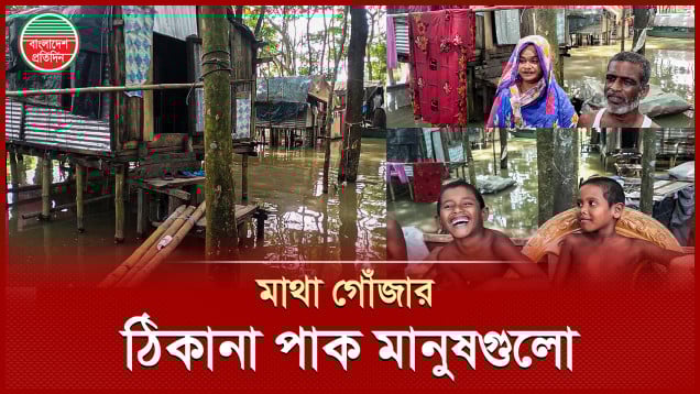 দশকের পর দশক ধরে পানিবন্দি ১০ বেদে পরিবার