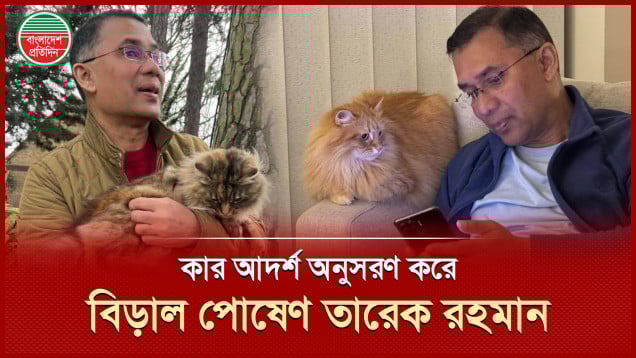 জানা গেলো তারেক রহমানের বিড়াল পোষার কারণ