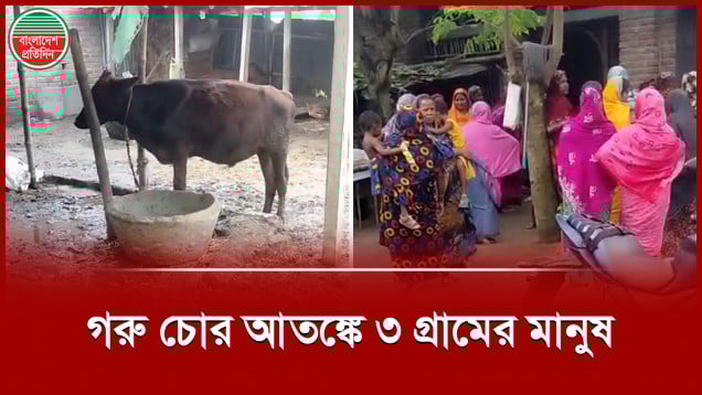 অস্ত্র দেখিয়ে একরাতে কৃষকের পাঁচ গরু চুরি, আতঙ্কে গ্রামবাসী