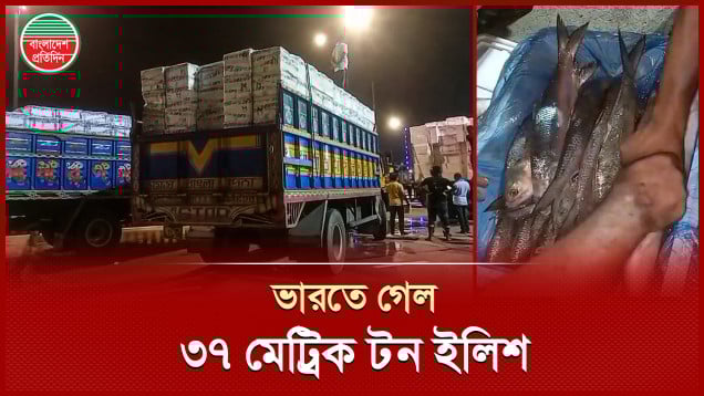 দুর্গাপূজা উপলক্ষে প্রথম চালানে ভারতে গেল ৩৭ মেট্রিক টন ইলিশ