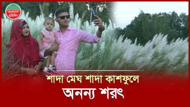 কাশফুলের শুভ্রতায় অনন্য রূপে সেজেছে শরৎ