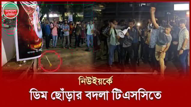 বদলা নিতে শেখ হাসিনার প্রতিকৃতিতে ডিম নিক্ষেপ