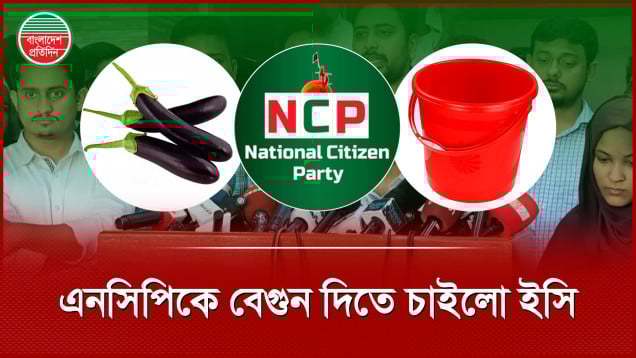 শাপলা নয়, এনসিপিকে দেওয়া হলো বেগুন-কলা-লাউসহ ৫০ প্রতীকের অপশন