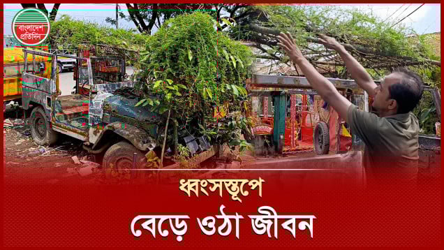 অটোগ্যারেজের তেল-চিটচিটে পরিবেশে এক টুকরো সবুজের প্রশান্তি