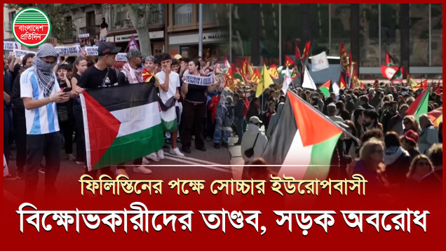 গাজামুখী সাহায্যবাহী নৌবহর আটকানোর প্রতিবাদে ইউরোপে বিক্ষোভ