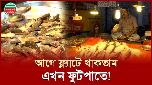 হঠাৎ মাছ বাজারে ক্রেতা সংকট, কী কারণ জানালেন ব্যবসায়ীরা