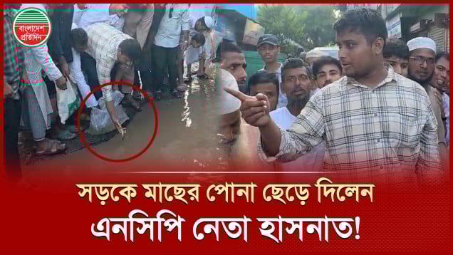 বেহাল সড়কে মাছের পোনা ছেড়ে দিয়ে হাসনাত আবদুল্লাহর প্রতিবাদ