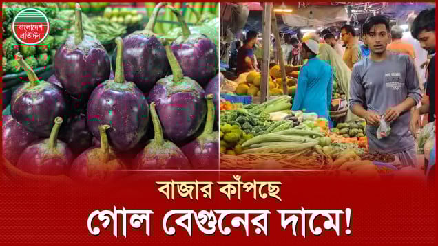 বাজারে নতুন গোল বেগুন, দাম কত?
