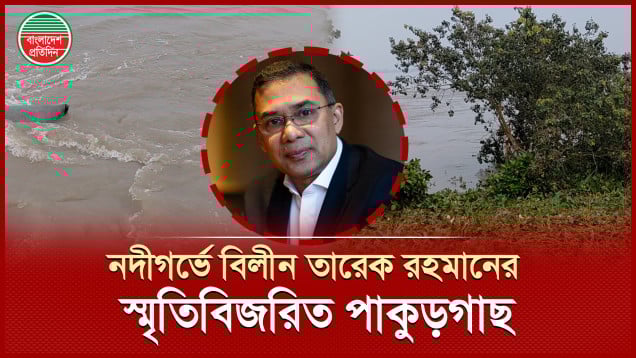 যমুনার ভাঙনে বিলীন তারেক রহমানের হাতে লাগানো পাকুড়গাছ