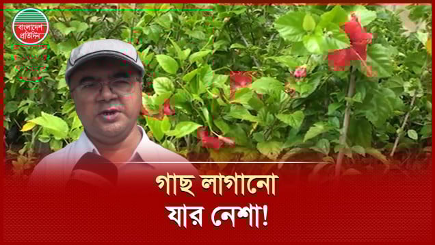 ছয় বছর ধরে প্রায় ৬০ হাজার গাছ লাগিয়েছেন শিক্ষক নুরুল ইসলাম