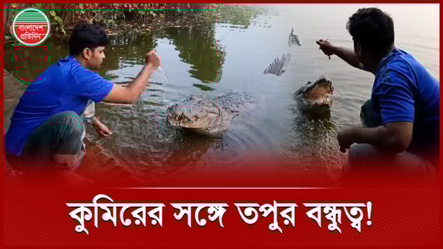 খানজাহান আলীর দিঘিতে কুমিরের সঙ্গে মানুষের বিরল বন্ধুত্ব!