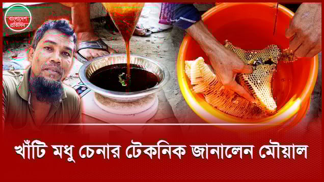 'যে মৌয়াল ভেজাল মধু বিক্রি করে, তাদের মৌমাছি বেশি কামড়ায়'
