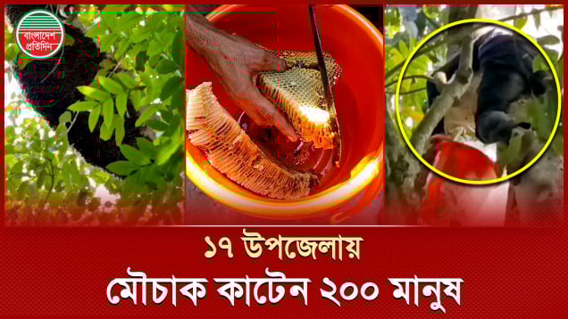 ব্যতিক্রম পেশায় জীবন চলে কুমিল্লার ২০০ মানুষের