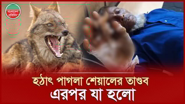 পাগলা শেয়ালের আতঙ্কে চার গ্রাম, আহত ২২