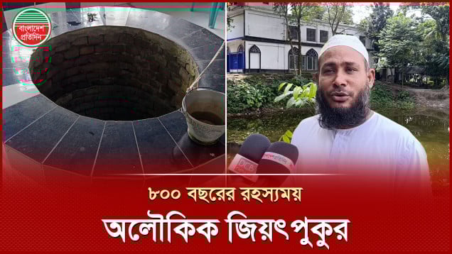 যে পুকুরে মৃত মাছ ছেড়ে দিলে জীবিত হয়ে যেত