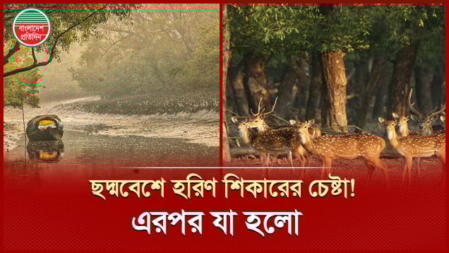 সুন্দরবনে রাস পূজায় পুণ্যার্থীর ছদ্মবেশে হরিণ শিকারের চেষ্টা, তিনদিনে আটক ৩৫