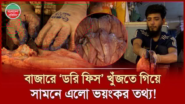 ডরি ফিসের নামে কী খাচ্ছেন?