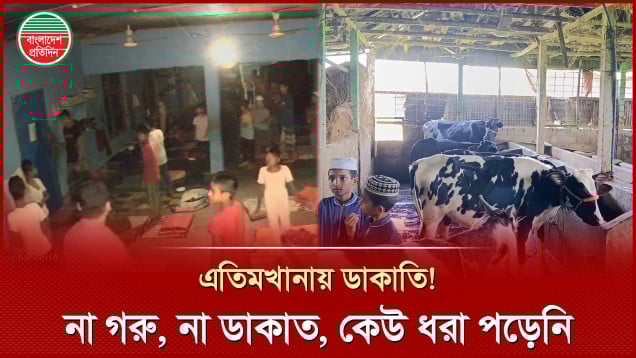 বন্দুক ঠেকিয়ে এতিমখানার গরু ডাকাতি, ৯ দিনেও উদ্ধার হয়নি